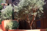 Castell'Verde